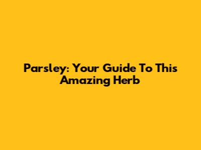 Parsley: Your Guide To This Amazing Herb
