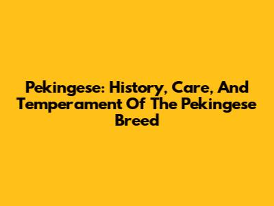 Pekingese: History, Care, And Temperament Of The Pekingese Breed
