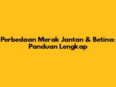 Perbedaan Merak Jantan & Betina: Panduan Lengkap