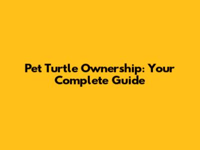Pet Turtle Ownership: Your Complete Guide
