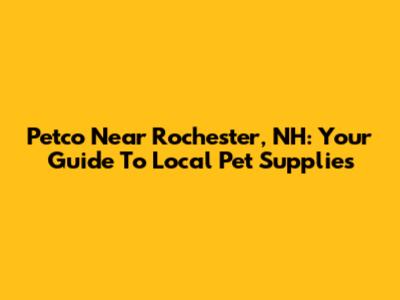 Petco Near Rochester, NH: Your Guide To Local Pet Supplies