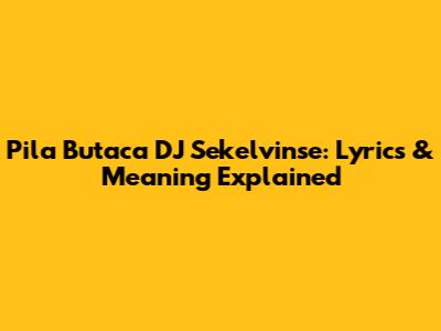 Pila Butaca DJ Sekelvinse: Lyrics & Meaning Explained