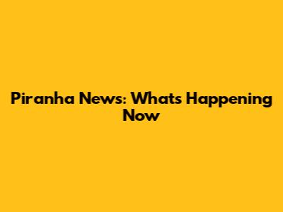 Piranha News: What's Happening Now