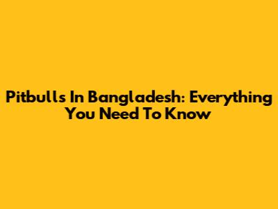 Pitbulls In Bangladesh: Everything You Need To Know