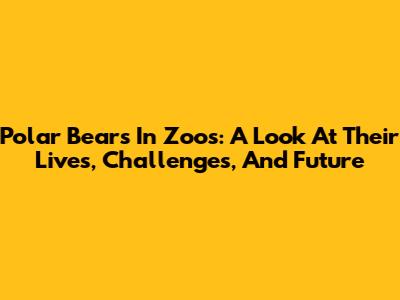 Polar Bears In Zoos: A Look At Their Lives, Challenges, And Future