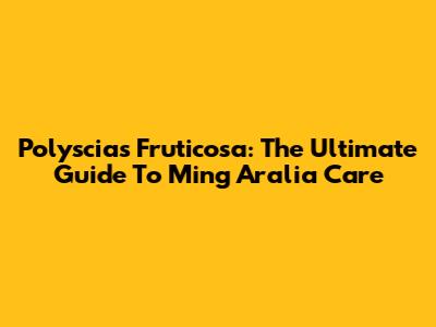 Polyscias Fruticosa: The Ultimate Guide To Ming Aralia Care