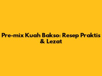 Pre-mix Kuah Bakso: Resep Praktis & Lezat