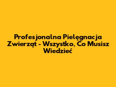 Profesjonalna Pielęgnacja Zwierząt - Wszystko, Co Musisz Wiedzieć