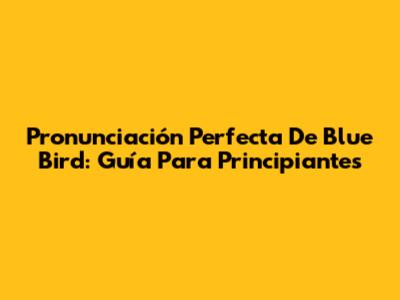 Pronunciación Perfecta De 'Blue Bird': Guía Para Principiantes