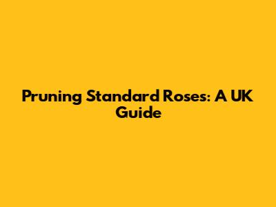 Pruning Standard Roses: A UK Guide