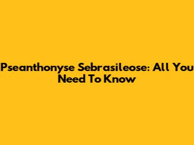 Pseanthonyse Sebrasileose: All You Need To Know