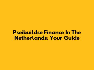 Pseibuildse Finance In The Netherlands: Your Guide