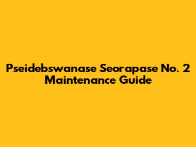Pseidebswanase Seorapase No. 2 Maintenance Guide