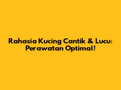 Rahasia Kucing Cantik & Lucu: Perawatan Optimal!
