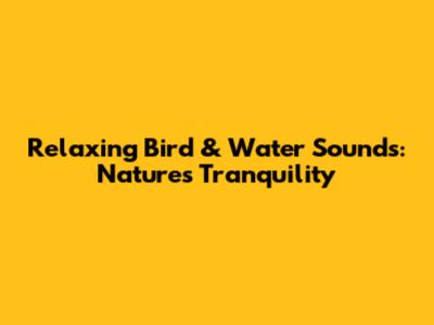 Relaxing Bird & Water Sounds: Nature's Tranquility