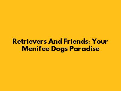 Retrievers And Friends: Your Menifee Dog's Paradise