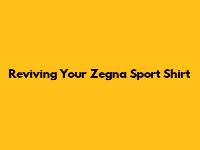 Reviving Your Zegna Sport Shirt