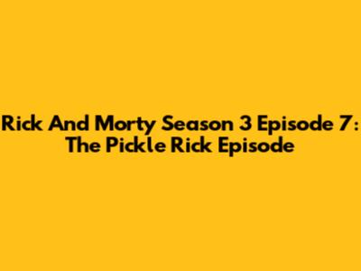 Rick And Morty Season 3 Episode 7: The Pickle Rick Episode