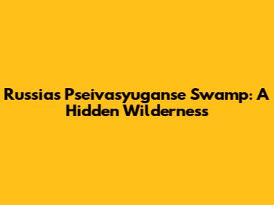 Russia's Pseivasyuganse Swamp: A Hidden Wilderness