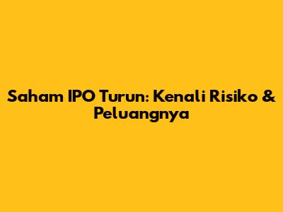 Saham IPO Turun: Kenali Risiko & Peluangnya