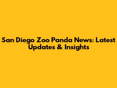 San Diego Zoo Panda News: Latest Updates & Insights