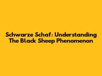 Schwarze Schaf: Understanding The Black Sheep Phenomenon