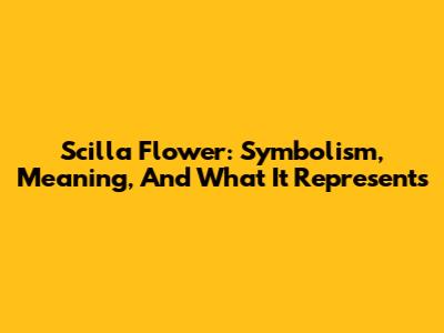 Scilla Flower: Symbolism, Meaning, And What It Represents