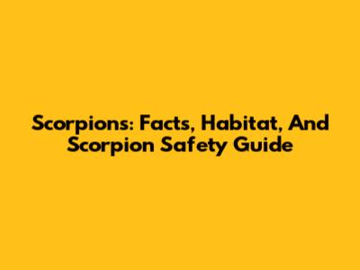 Scorpions: Facts, Habitat, And Scorpion Safety Guide