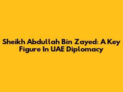 Sheikh Abdullah Bin Zayed: A Key Figure In UAE Diplomacy