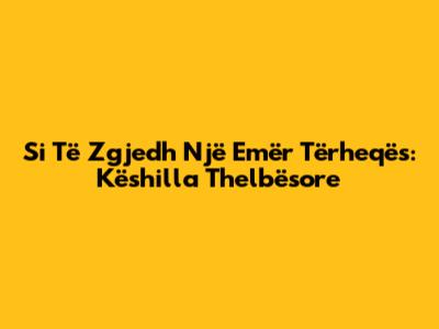Si Të Zgjedh Një Emër Tërheqës: Këshilla Thelbësore