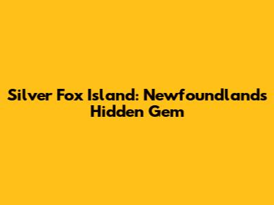 Silver Fox Island: Newfoundland's Hidden Gem
