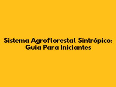 Sistema Agroflorestal Sintrópico: Guia Para Iniciantes
