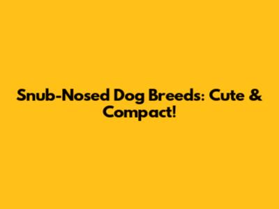 Snub-Nosed Dog Breeds: Cute & Compact!