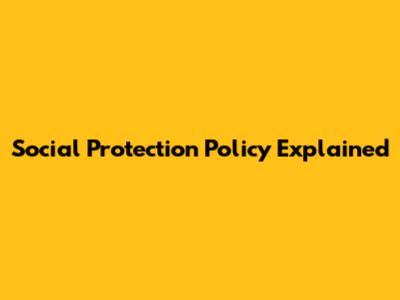 Social Protection Policy Explained