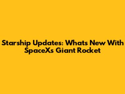 Starship Updates: What's New With SpaceX's Giant Rocket
