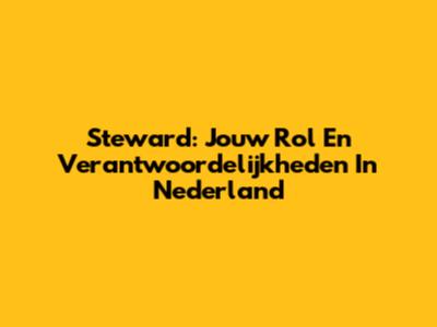 Steward: Jouw Rol En Verantwoordelijkheden In Nederland