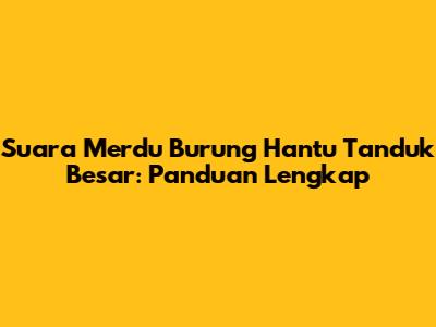 Suara Merdu Burung Hantu Tanduk Besar: Panduan Lengkap
