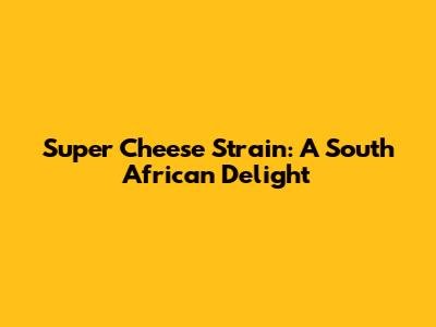 Super Cheese Strain: A South African Delight