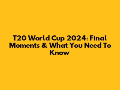 T20 World Cup 2024: Final Moments & What You Need To Know