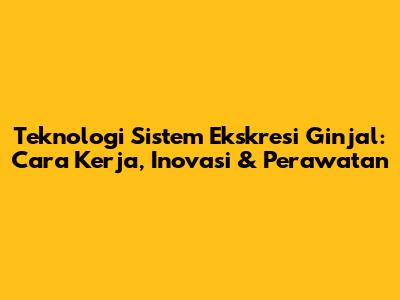 Teknologi Sistem Ekskresi Ginjal: Cara Kerja, Inovasi & Perawatan