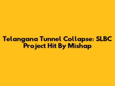 Telangana Tunnel Collapse: SLBC Project Hit By Mishap