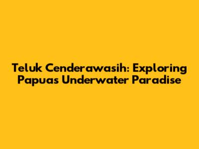 Teluk Cenderawasih: Exploring Papua's Underwater Paradise