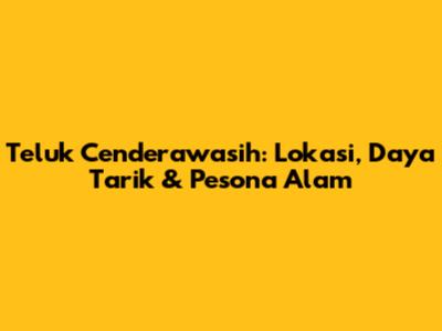 Teluk Cenderawasih: Lokasi, Daya Tarik & Pesona Alam