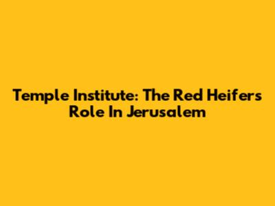 Temple Institute: The Red Heifer's Role In Jerusalem