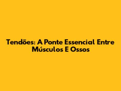 Tendões: A Ponte Essencial Entre Músculos E Ossos