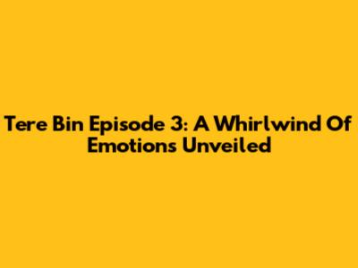 Tere Bin Episode 3: A Whirlwind Of Emotions Unveiled