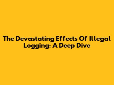 The Devastating Effects Of Illegal Logging: A Deep Dive