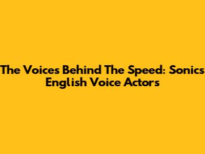 The Voices Behind The Speed: Sonic's English Voice Actors