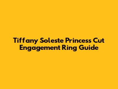 Tiffany Soleste Princess Cut Engagement Ring Guide