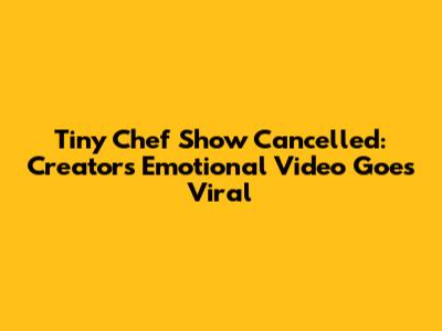 Tiny Chef Show Cancelled: Creators' Emotional Video Goes Viral